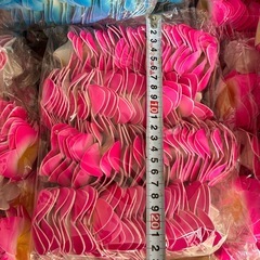 スポンジ素材のカラフルなプルメリア　　の画像