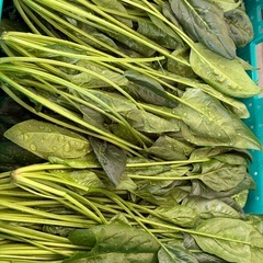 無農薬野菜の画像