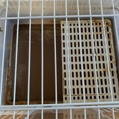 本日で掲載終了します。差し上げます。モルモット、うさぎケージの画像