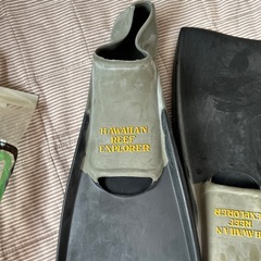 マリンスポーツフィンの画像