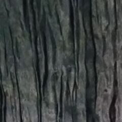 フランスのシルク製シュリンク加工をしたストール／中古の画像