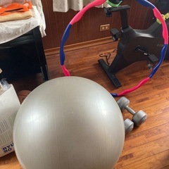 ダイエット三種の神器(特殊ダンベル）の画像