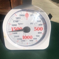 紫山芋②の画像