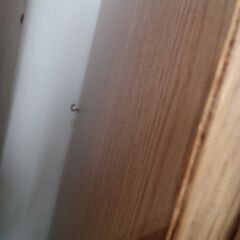 ★リユースのサカイ水戸店★  食器棚 ライトブラウン H196×D46×W91 クリーニング済み MT6715の画像