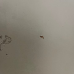 ローテーブルの画像