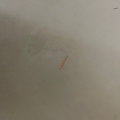 ローテーブルの画像