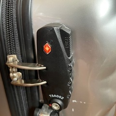 キャリーバッグの画像