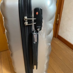 キャリーバッグの画像