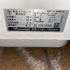 メダカ等にエアブローの画像