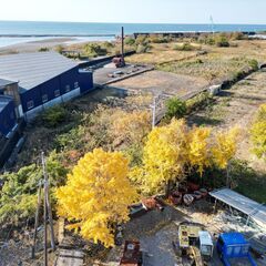 【0円】高知県安芸市川北甲　農地
