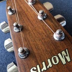 morris（モーリス） アコースティックギターの画像