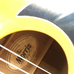 morris（モーリス） アコースティックギターの画像