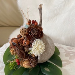 ブッター　中　　アレジメントの画像