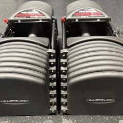 POWERBLOCK (パワーブロック) PRO EXP 90LBの画像