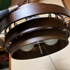 電気のかさ　電球セットの画像