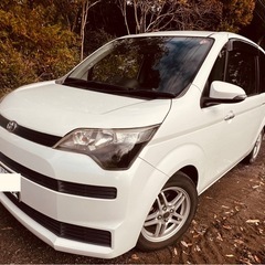 スペイド　いかがですか？の画像