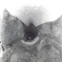 札幌市 清田区 サロモン SALOMON スキーブーツ QUEST ACCESS R80 26.5㎝ カーキ系の画像