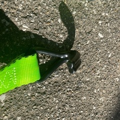 ラッシングベルト の画像