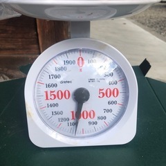 紫山芋⑧の画像