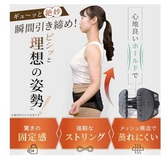 骨盤ベルト【正規品】骨盤整隊カシャーンの画像