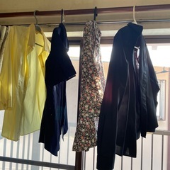 カットソーの画像