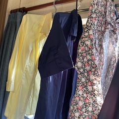 カットソーの画像