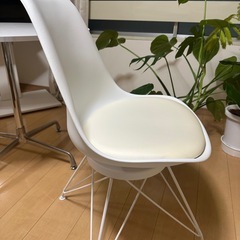 20%オフ【12/20午前中お渡し】ニトリ　白　イスの画像