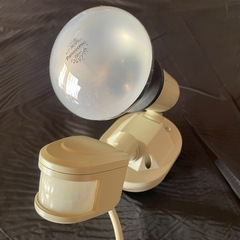 センサーライトの画像