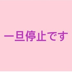 受け渡し者様が決まりそうですので一旦停止します。の画像