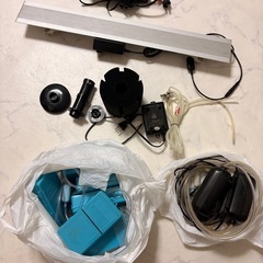 水槽(熱帯魚)の画像