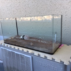 水槽(熱帯魚)の画像