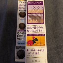 ビゲン グレイスタイル  ツートーンカバースプレーの画像