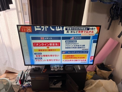 Panasonic VIERA 49V テレビ台付き(画面横線あり)