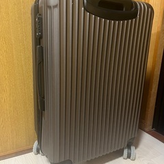 キャリーバッグの画像