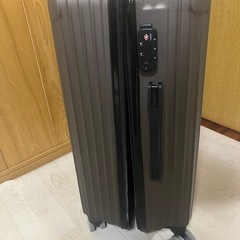 キャリーバッグの画像