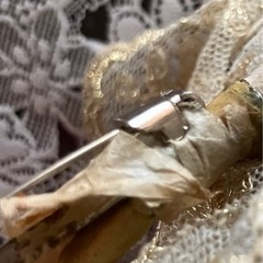 コサージュの画像