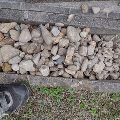 高松 石ころ色々 丸石 丸い石 小石 河石 川石 石ころ 大量 庭石 ガーデニング 排水 防草対策 外溝 コンクリートの滑り止めの画像