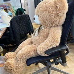 でかいくまの画像