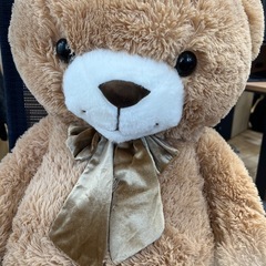 でかいくまの画像