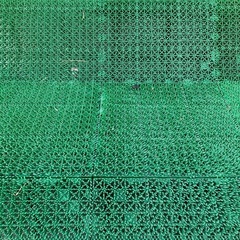 人工芝？
の画像