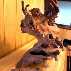 流木 アートオブジェ 骨董品 芸術　蔵出しの画像