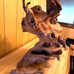 流木 アートオブジェ 骨董品 芸術　蔵出しの画像