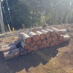 薪用木材の画像
