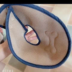 ペット用 カラー 傷舐め帽子の画像