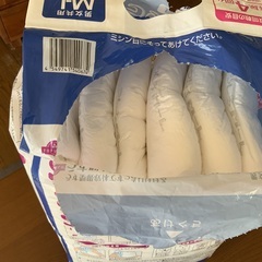 大人用紙オムツの画像