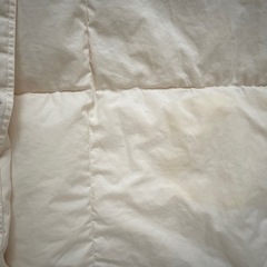 薄手羽毛布団  2枚の画像