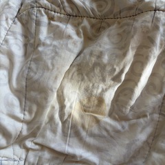 エルゴ抱っこ紐の画像