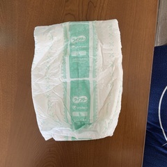 大人用紙オムツの画像