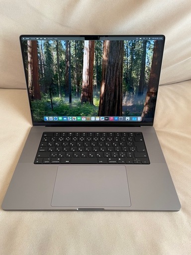 Apple Macbook Pro M1 32/512 16インチ BT100% n1
