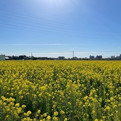 ボードゲーム　謎解き　友達募集( ´∀｀)